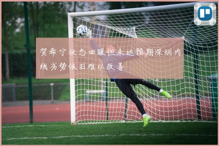 贺希宁状态回暖但未达预期深圳内线劣势依旧难以改善